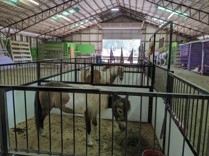 mini-horse stalls at the Lucas County Fairgrounds