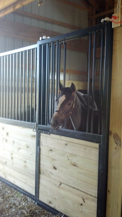 horse stall front modular construction