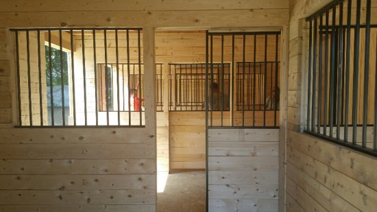 3 horse stalls