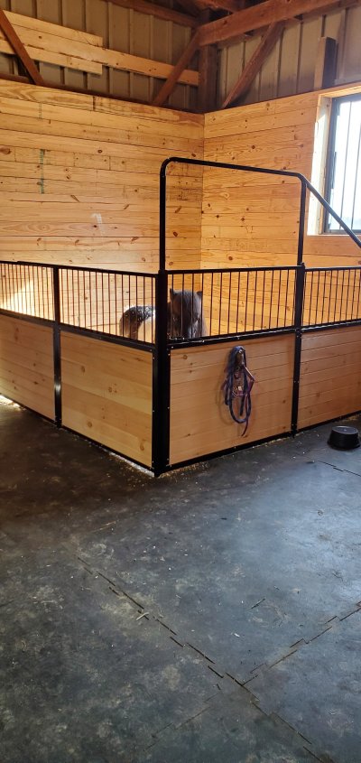 miniature horse stalls